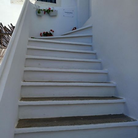 Casa Da Umbria Bed & Breakfast Odemira Luaran gambar