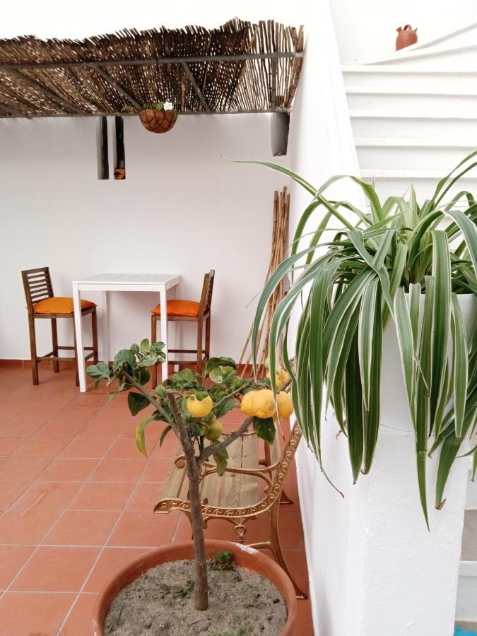 Casa Da Umbria Bed & Breakfast Odemira Luaran gambar